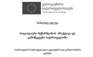 სოციალური მეწარმეობის პრაქტიკა და გამოწვევები საქართველოში (2017)